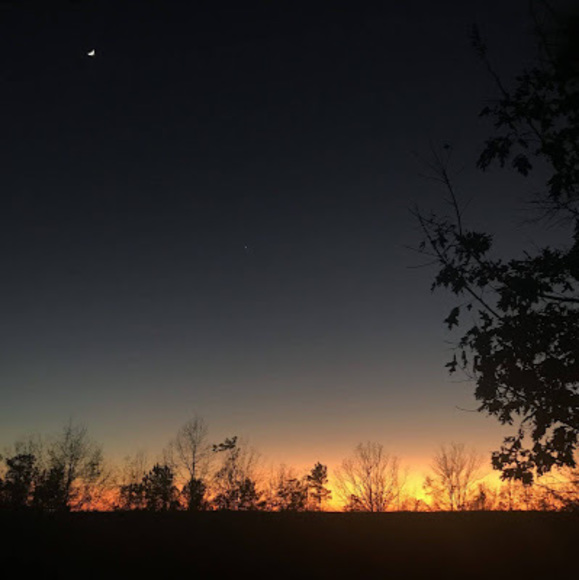 Meet your Posher, Haley - Picture 1 of 1